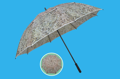 fishing umbrella