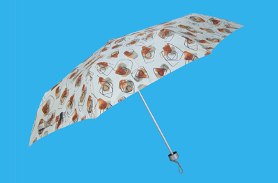 fishing umbrella